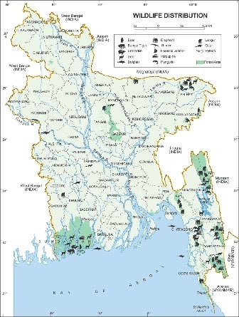 Wildlife Distribution in Bangladesh
